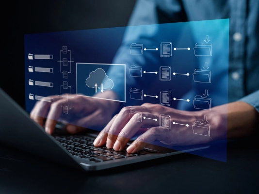 Business backup and disaster recovery protecting business data and systems